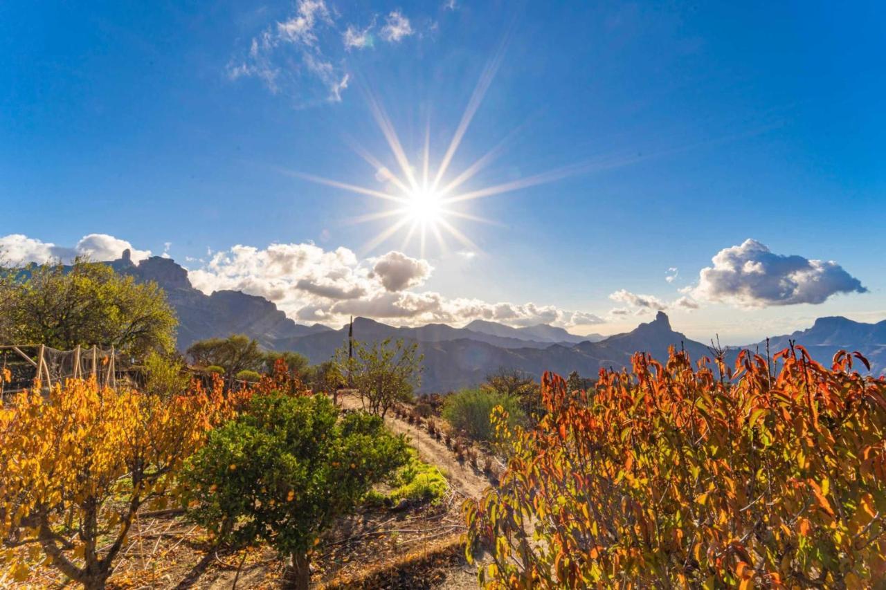 Finca La Isa By Rose Casas Rural Tejeda  Dış mekan fotoğraf