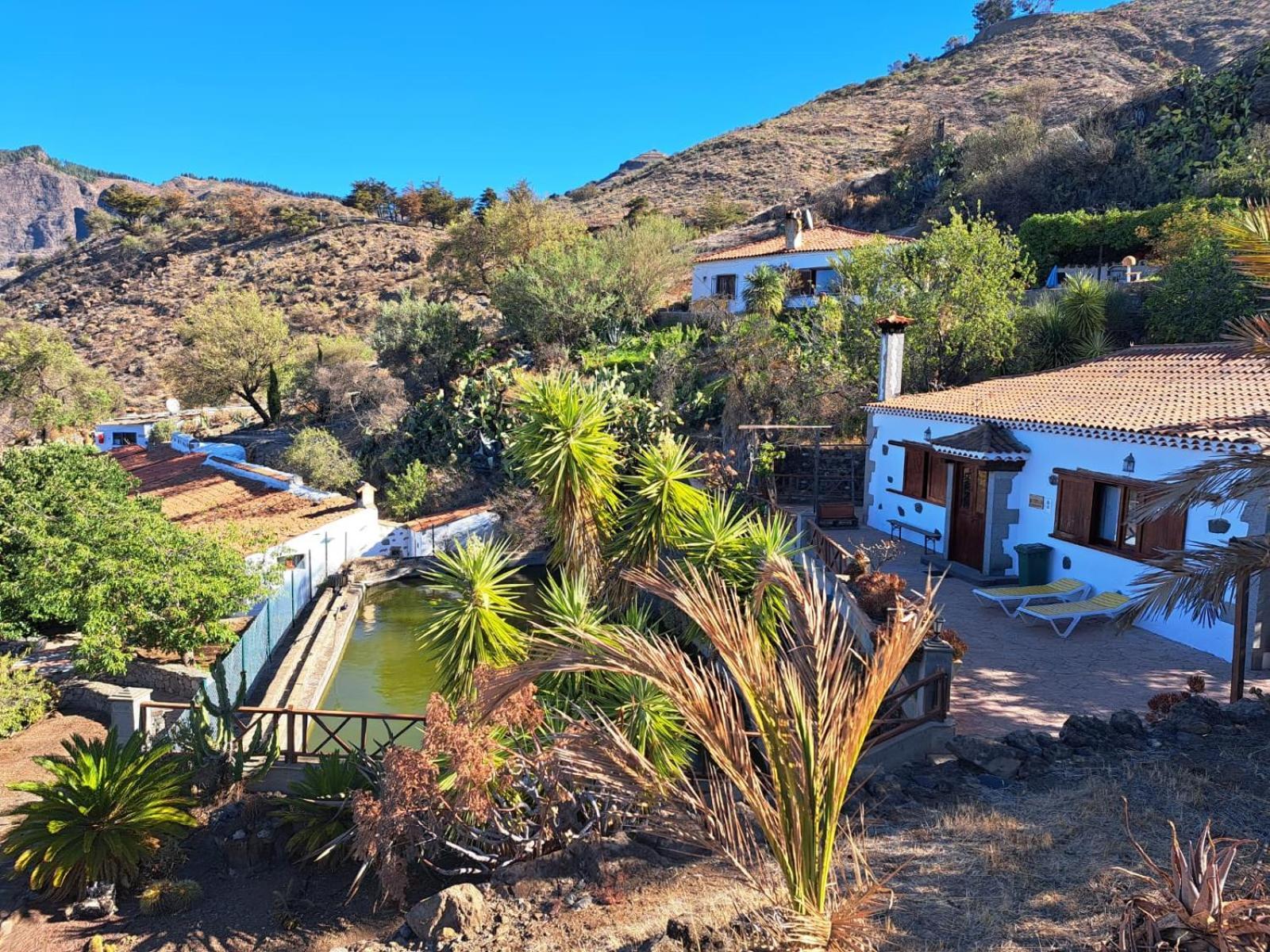 Finca La Isa By Rose Casas Rural Tejeda  Dış mekan fotoğraf