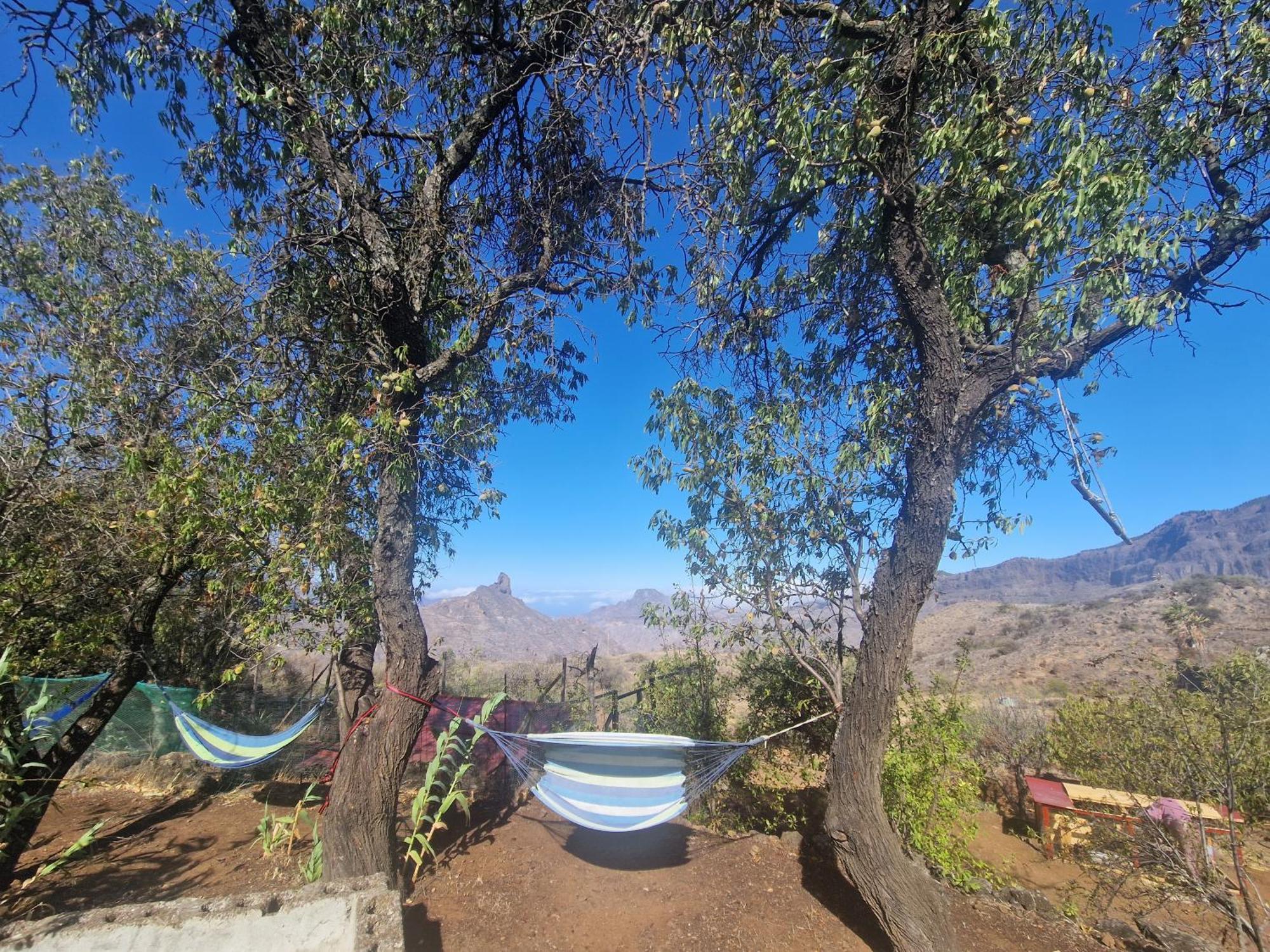 Finca La Isa By Rose Casas Rural Tejeda  Dış mekan fotoğraf